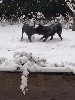  - NOUBA découvre la neige en famille
