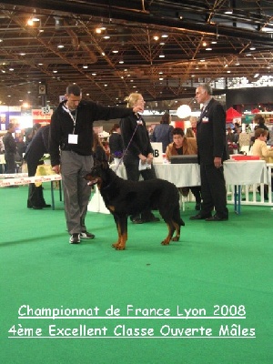 des Gaillards des Terres Froides - Championnat de France