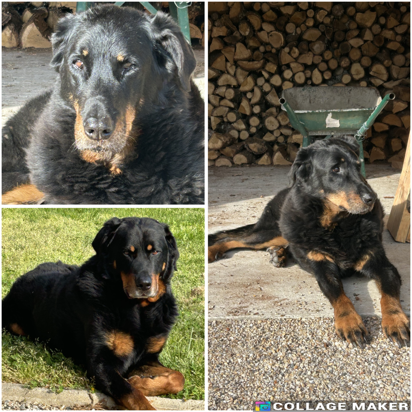 Des nouvelles de I'ABBY